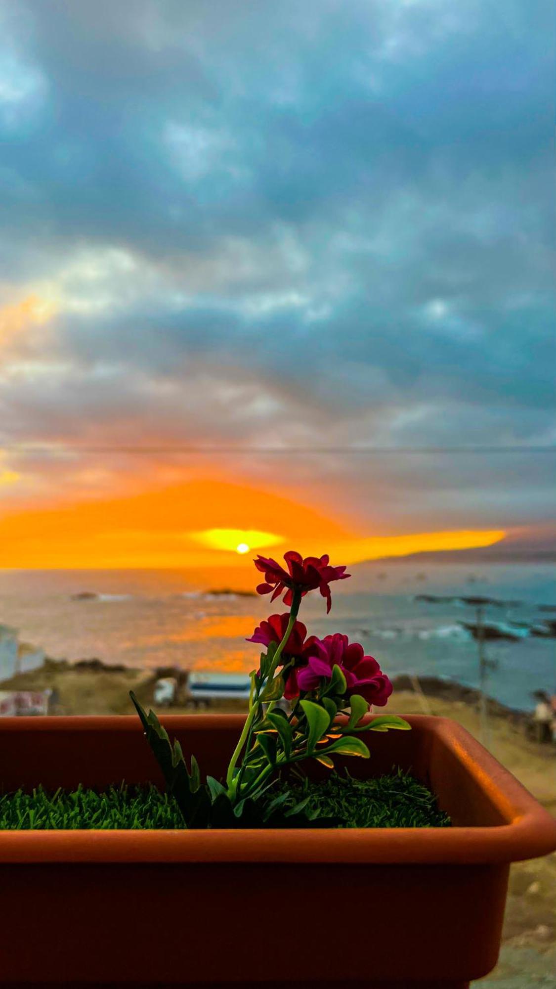 Hotel Aloha Чала Экстерьер фото